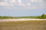 Clicca qui per vedere l'immagine in dettaglio